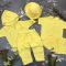 Комплект muslin cotton Sunny-Yellow BEWARM дитячий (штани,футболка,панамка,шорти,туніка)