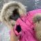 Куртка-пальто BEWARM Bakota Pink дитяча зимова подовжена