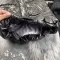 Куртка-пальто BEWARM Bakota Royal Black дитяча зимова подовжена