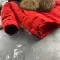 Куртка-пальто BEWARM Baribal Red дитяча зимова подовжена
