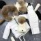 Комбінезон BEWARM Umka White Velvet дитячий зимовий роздільний