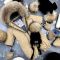 Комбінезон BEWARM Kodiaq суцільний з пінетками Beige