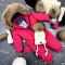 Комбінезон BEWARM Kodiaq суцільний Pink