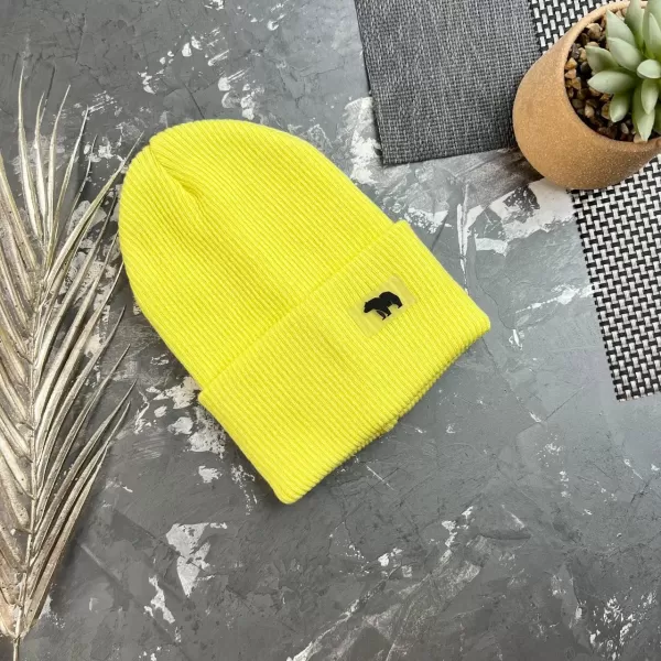 Шапочка дитяча демісезонна beanie lime