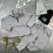 Спортивний костюм дитячий Instant BEWARM gray