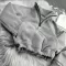 Спортивний дитячий костюм For Relax Polar Fleece BEWARM gray